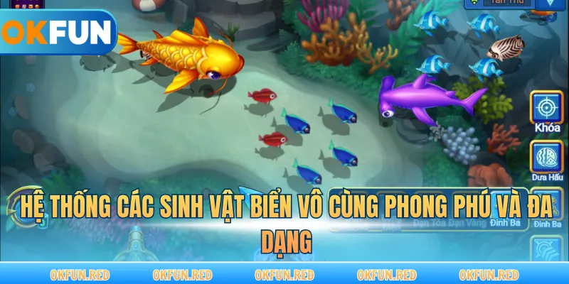 Hệ thống các sinh vật biển vô cùng phong phú và đa dạng